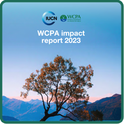 wcpa impact report